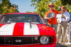 Danville_Concours_2015_Shuler_133