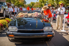 Danville_Concours_2015_Shuler_135