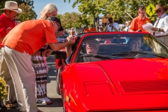 Danville_Concours_2015_Shuler_143