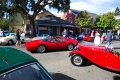 2019-09-22_Danville-Concours_BAMI0023_resize