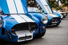 Danville_Concours_2014_Shuler_001