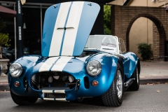 Danville_Concours_2014_Shuler_002