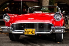 Danville_Concours_2014_Shuler_003