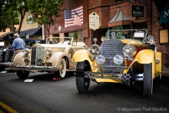 Danville_Concours_2014_Shuler_007