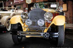 Danville_Concours_2014_Shuler_008