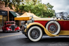 Danville_Concours_2014_Shuler_010