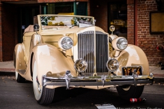 Danville_Concours_2014_Shuler_013