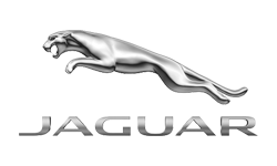 Bay Area Jaguar